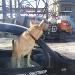Фото №2 Бетон, раствор – производство, доставка. 