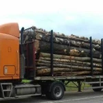 Лесовоз, Сортиментовоз, Услуги перевозки леса