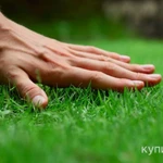 Фото №5 Расчистка участков, демонтаж, ломовоз