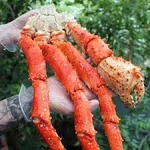 фото Краб ,конечности краба, замороженный краб, варено - мороженный краб на экспорт