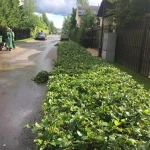 Фото №74 Озеленение и благоустройство