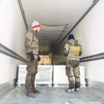 Фото №4 Грузчики Саратова