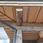 Фото №4 Сосна Кело доска необрезная