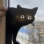 Фото №5 Подглядывающий кот в окно