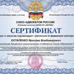 Фото №7 Юрист по семейным делам I 400 побед I Опыт 6 лет