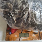 Фото №7 Грибы