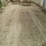 Фото №7 Покос травы, камыша,поросли