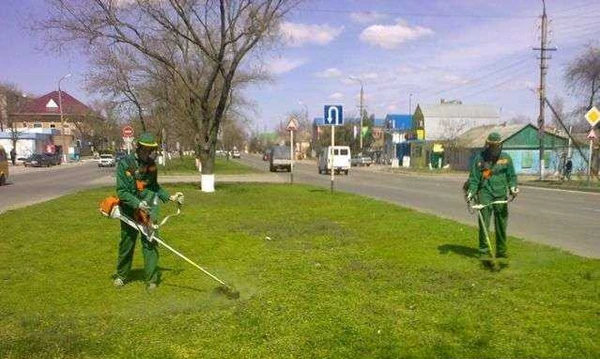 Фото Выкосим, прополим, уберем