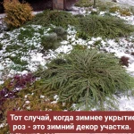 Фото №10 Уход за садом