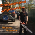 Спил деревьев Воронеж