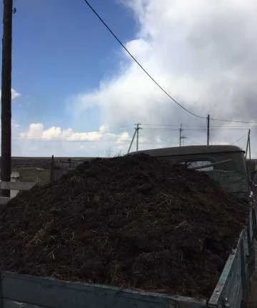 Фото Продам дрова,навоз,опилки,пгс