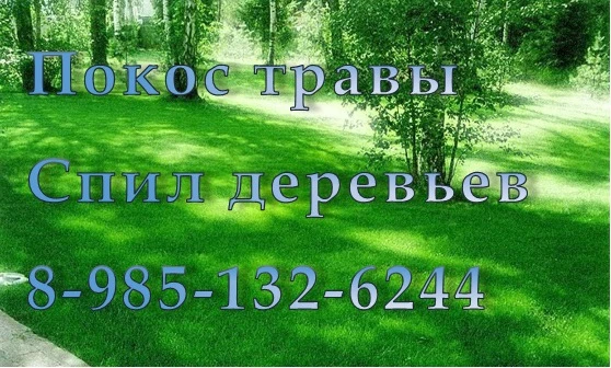 Фото Мастер на даче