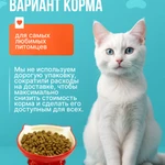 Фото №4 Корм для взрослых кошек Рыжик 15КГ