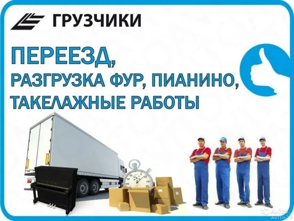 Фото грузчики