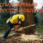 Спил деревьев/уборка участков/Вывоз