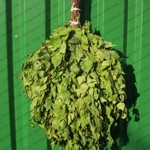 Веники Берёзовые