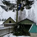 Фото №10 ВАЛКА СПИЛ ДЕРЕВЬЕВ. РАСЧИСТКА УЧАСТКОВ. В УСЛОВИЯХ ОГРАНИЧЕННОГО ПРОСТРАНСТВА.