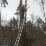 Фото №3 Удаление Деревьев 