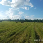 Сено в рулонах