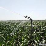 Фото №7 Дождевальная машина с пушкой - FJB GROUP LLC