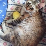 Фото №5 Отдам в добрые руки