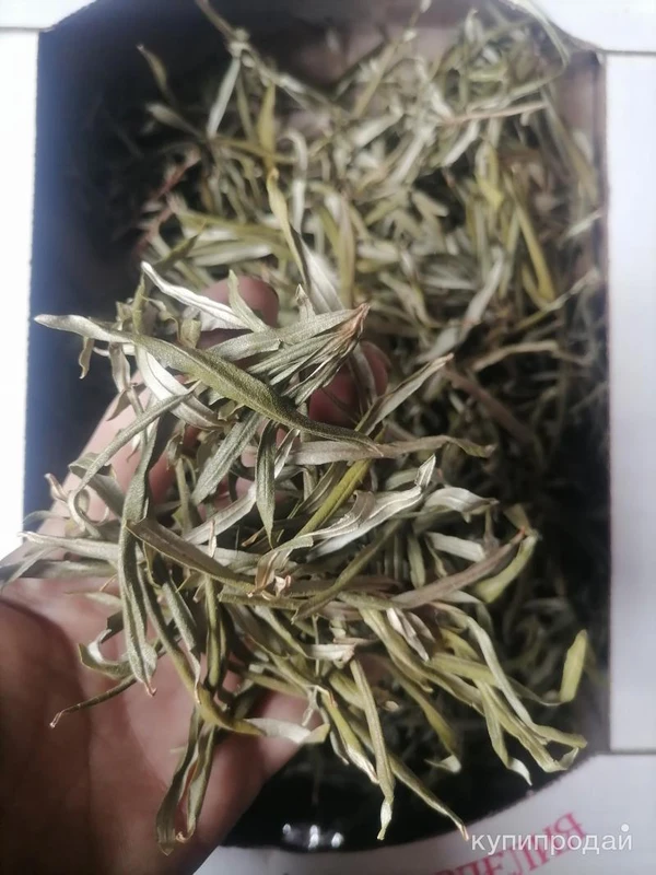 Фото Облепиха жёлтая листья. Цена за 100 грамм.