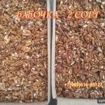 Фото №3 Орех грецкий,орехи чищенные