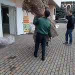 Фото №2 Услуги грузчиков недорого