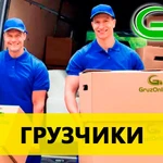 Услуги грузчиков. газель недорого