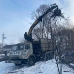 Фото №3 Спил дерева любой сложности расчистка участка