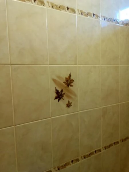 Фото Плиточник