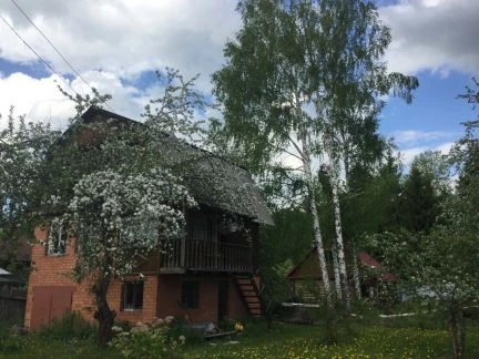 Фото Спилить дерево на участке Легко