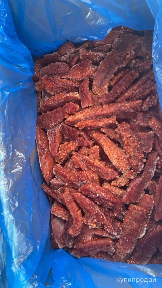 Фото Игра горбуши 2024 г.