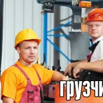 Трезвые грузчики 24/7