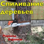 Спил деревьев любой сложности Воронеж