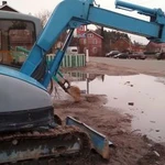 Фото №17 Выпил деревьев на участке с раскорчёвкой