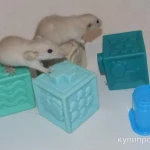 Фото №5 Декоративные крысята сиам