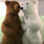 Медведи на праздник,детский праздник. медведь
