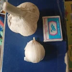 фото Продам чеснок урожай 2024 года