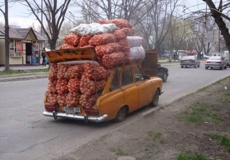 Фото Перевезем картошку с дачи, поможем выкопать!