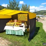 Фото №7 Пасека моргунова