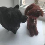 Фото №5 Шпиц черный