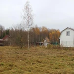 Фото №32 Расчистка участка от кустарника и деревьев. ОТЗЫВ КЛИЕНТА.