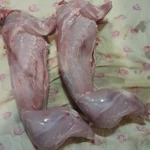 Фото №4 Домашние Яйца Мясо Утка Курица Кролик