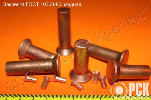 Фото Заклепки из сплавов Л63, БрАЖ, М3