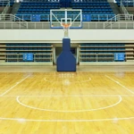 фото Спортивный линолеум IndoFlex, спортивные залы