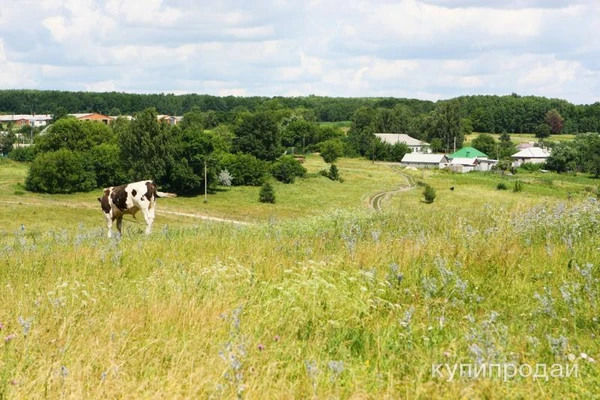 Фото Земельный участок ЖС в лесу у реки