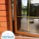 Фото №7 Уборка после ремонта, генеральная, мытье окон