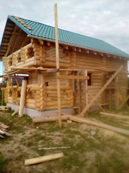 Фото Срубы