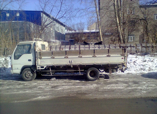 Фото Грузопепревозки бортовыми японцами